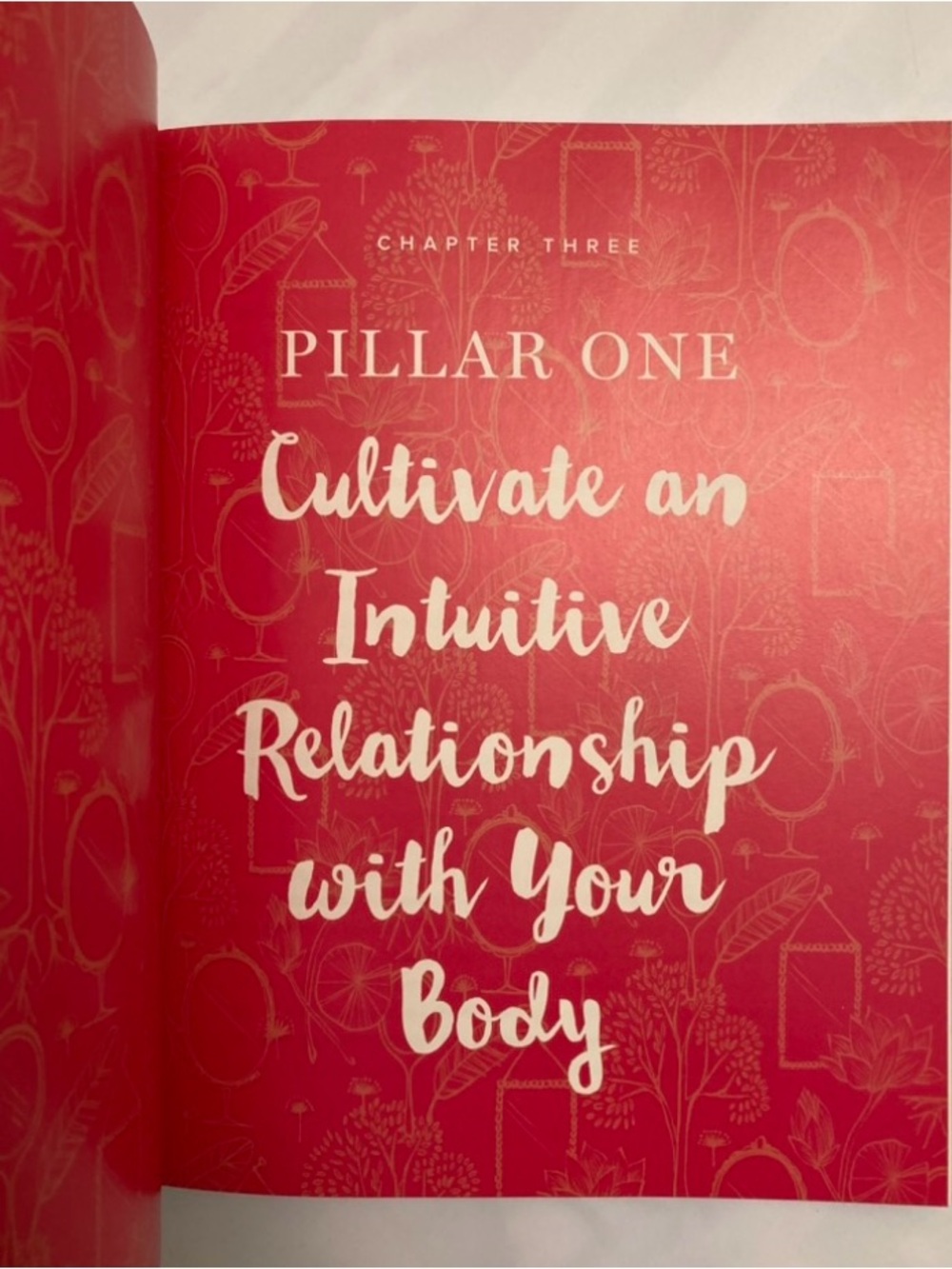 HARDCOVER Pretty Happy Healthy Ways to Love Your Body book by Kate Hudson - Picture 3 of 4